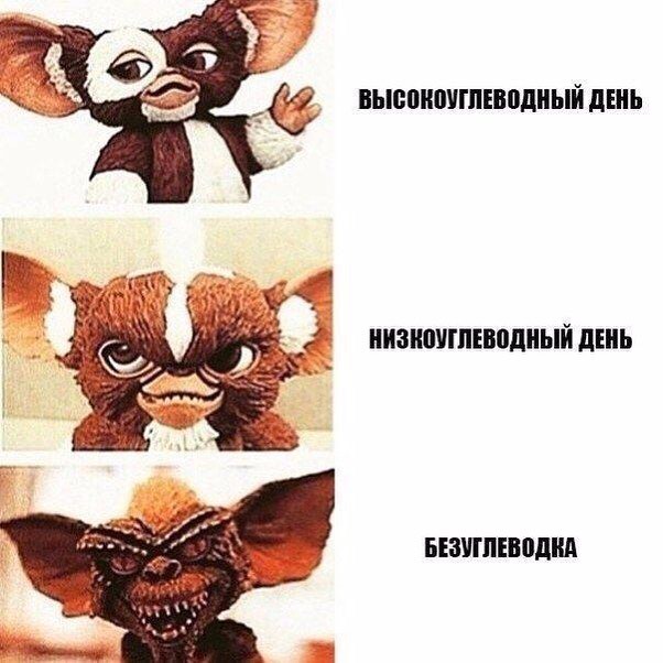 iApply™ Слажный путь ٩(×̯×)۶  Не очень ツ - Бодибилдинг форум AnabolicShops