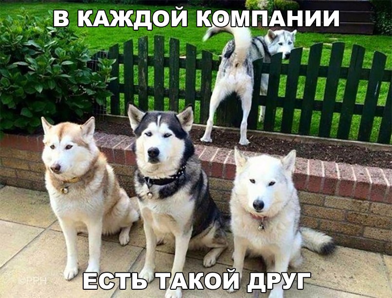 Анекдоты обо всем - Бодибилдинг форум AnabolicShops