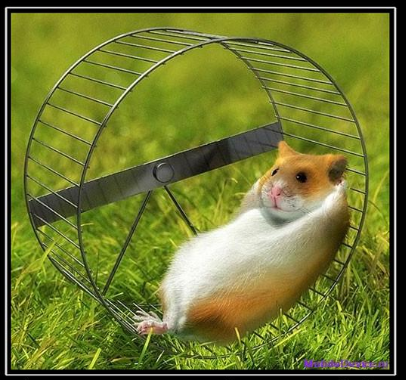 Сага/Часть первая - минус десяточка за два месяца (ебанулся окончательно) - Бодибилдинг форум AnabolicShops