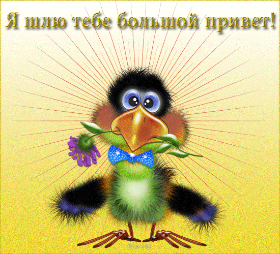 Ade-pharma-качественная фарма, низкие цены, быстрые отправки!!! - Бодибилдинг форум AnabolicShops