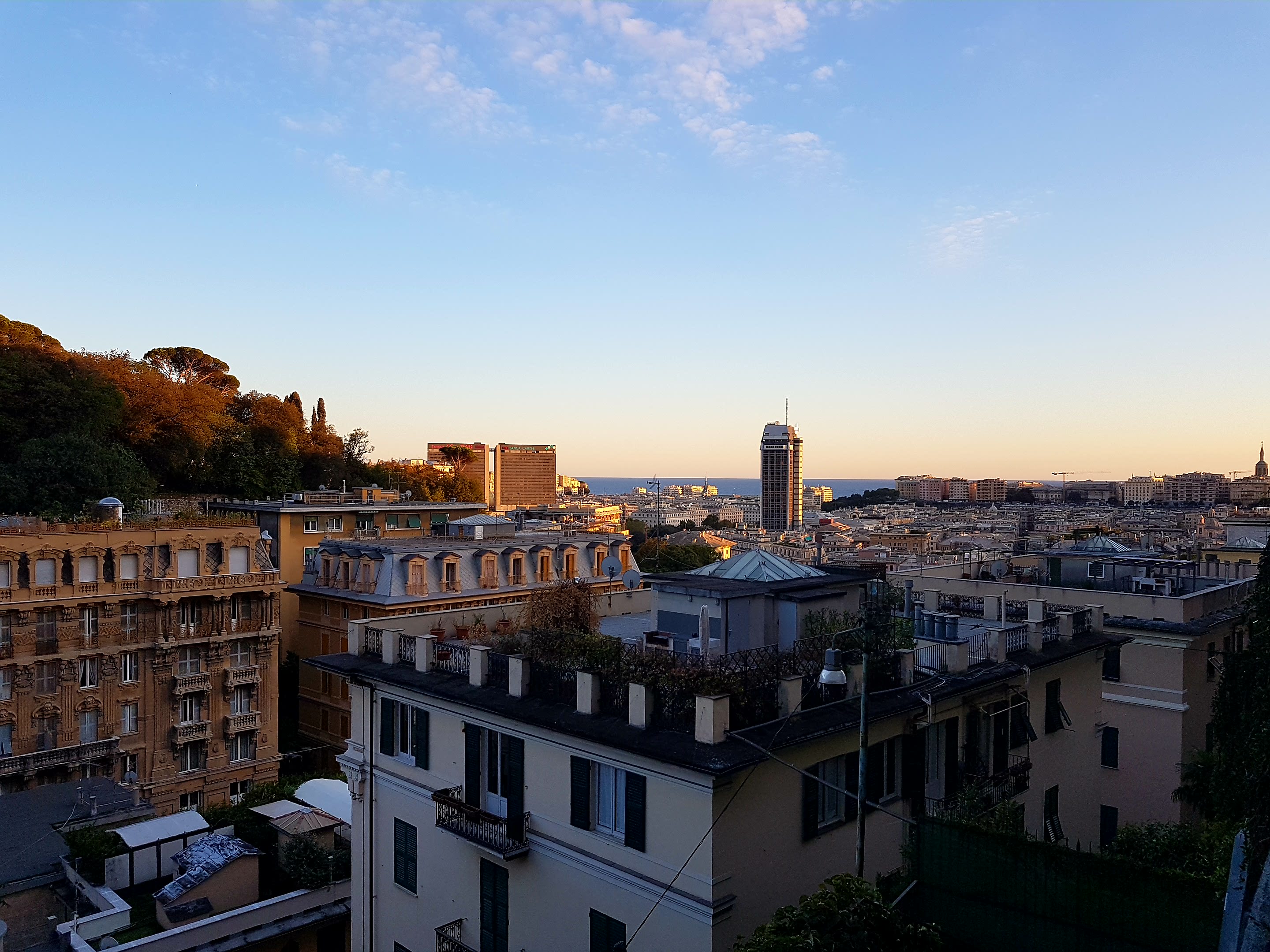 Магазинчик Чая - Бодибилдинг форум AnabolicShops