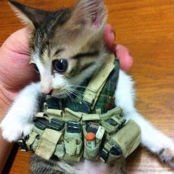 Farma-sklad надежный магазин - Бодибилдинг форум AnabolicShops