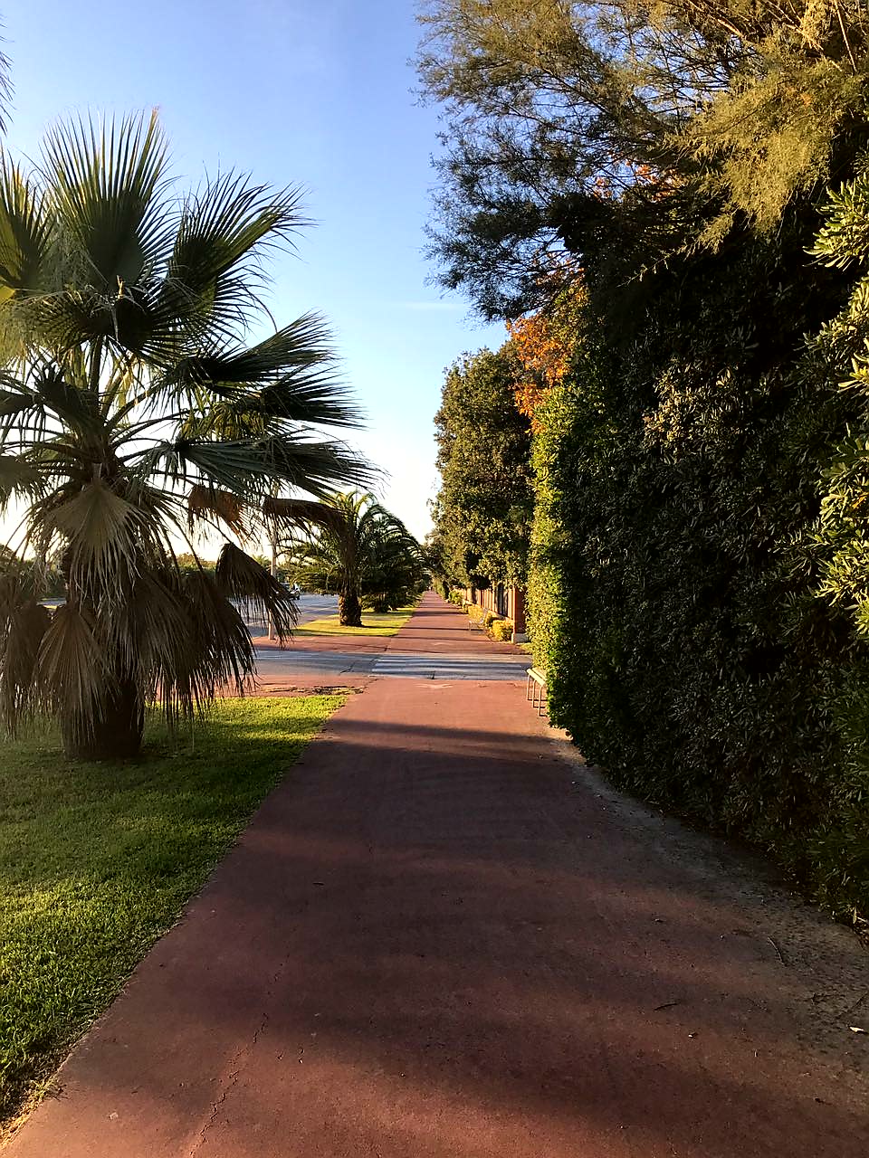 Магазинчик Чая - Бодибилдинг форум AnabolicShops