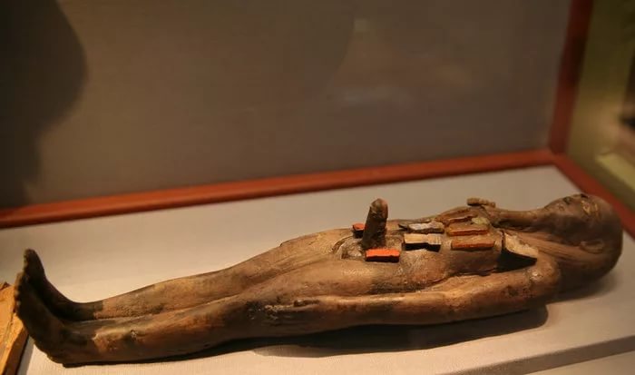 IndiaGenericPower- магазин ПКТ! - Бодибилдинг форум AnabolicShops