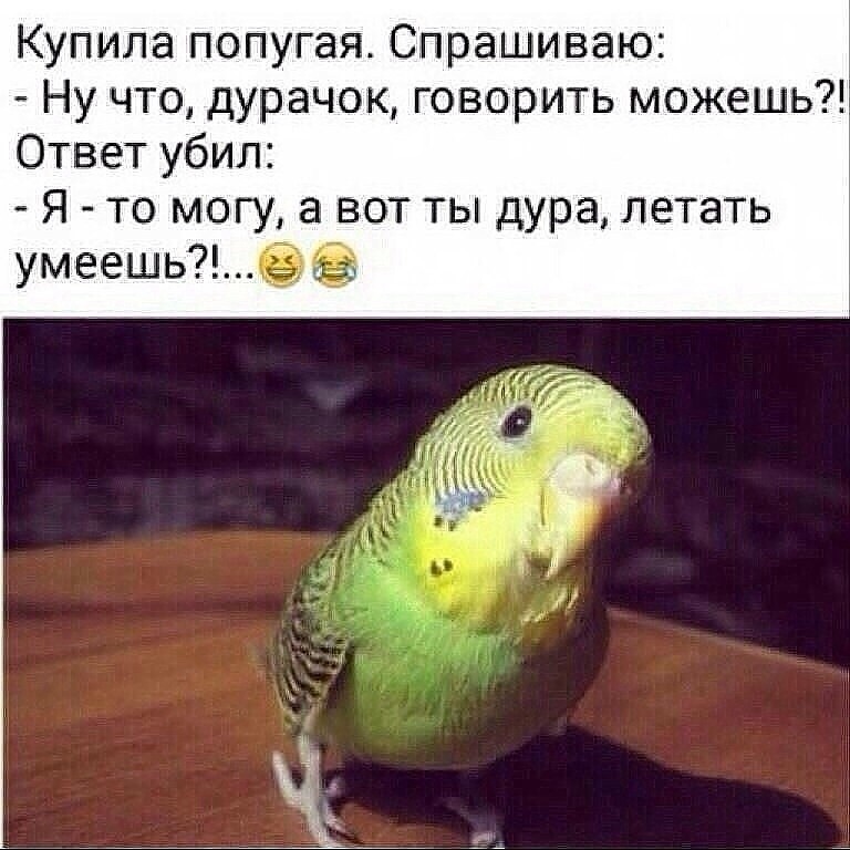 IndiaGenericPower- магазин ПКТ! - Бодибилдинг форум AnabolicShops