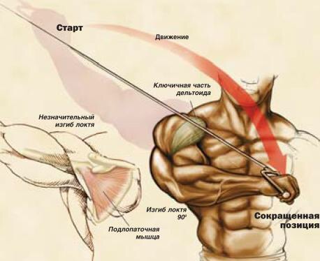 Женский пауэрлифтинг - Бодибилдинг форум AnabolicShops
