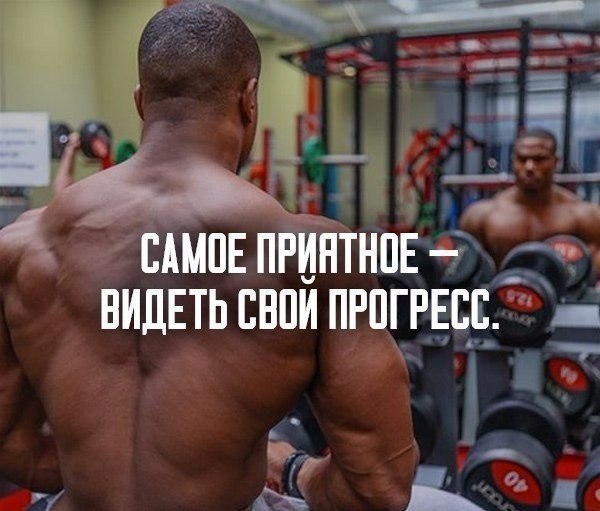 Ade-pharma-качественная фарма, низкие цены, быстрые отправки!!! - Бодибилдинг форум AnabolicShops