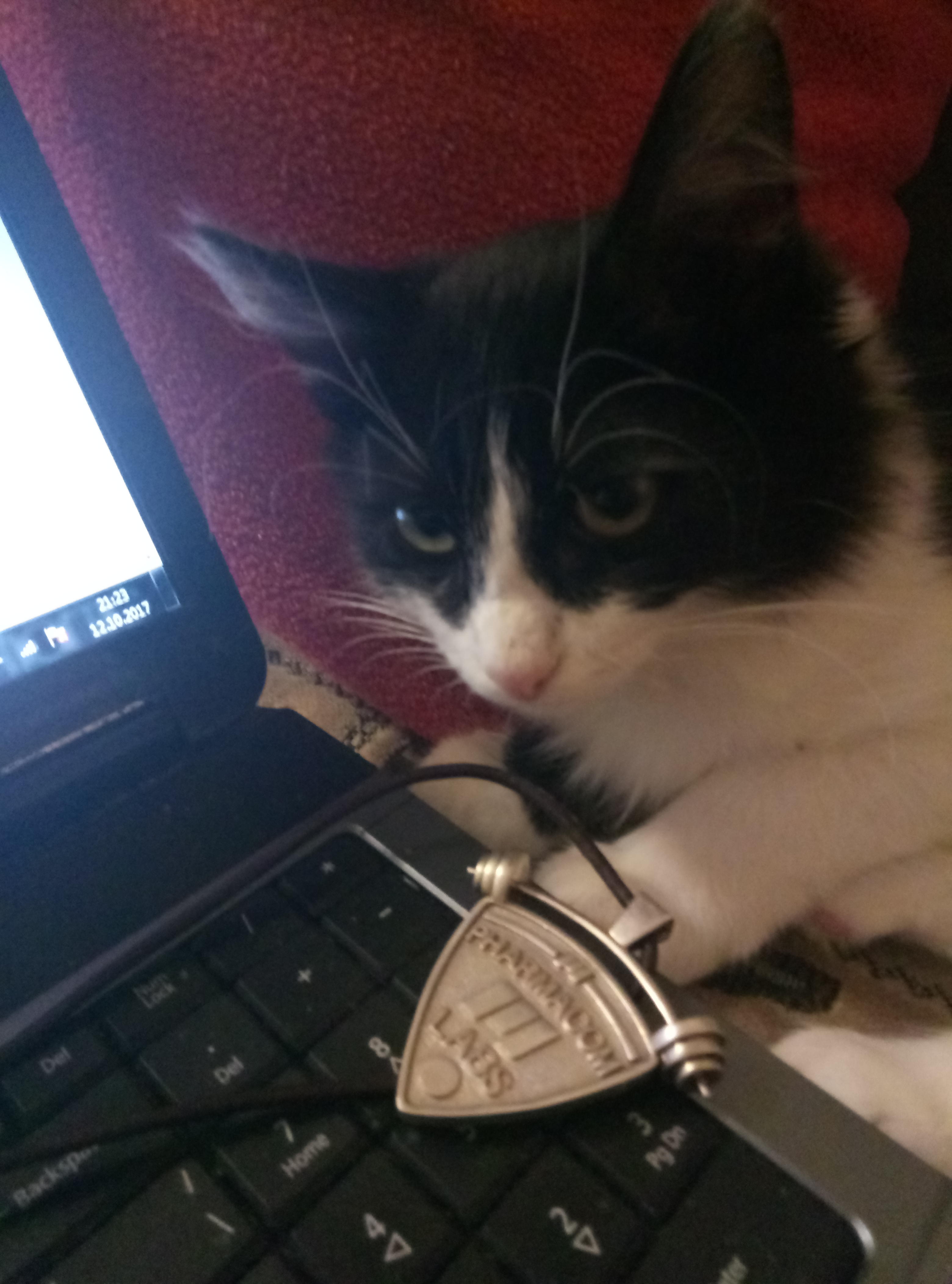 ФАРМАКОМ! РОЗНИЦА = ОПТ. ТЕСТОСТЕРОН - 590 РУБЛЕЙ - Бодибилдинг форум AnabolicShops