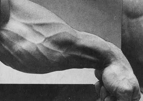 Generic Discount - виагра, сиалис, левитра, дапоксетин (Скидки на ОПТ!) - Бодибилдинг форум AnabolicShops