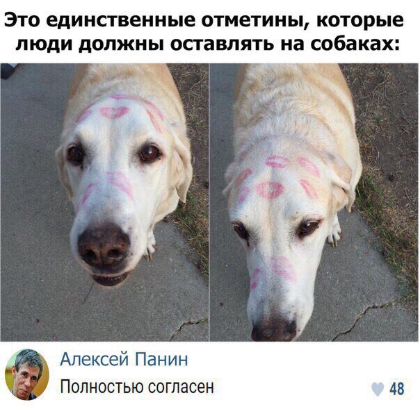 Курилка- разговоры на любые темы - Бодибилдинг форум AnabolicShops