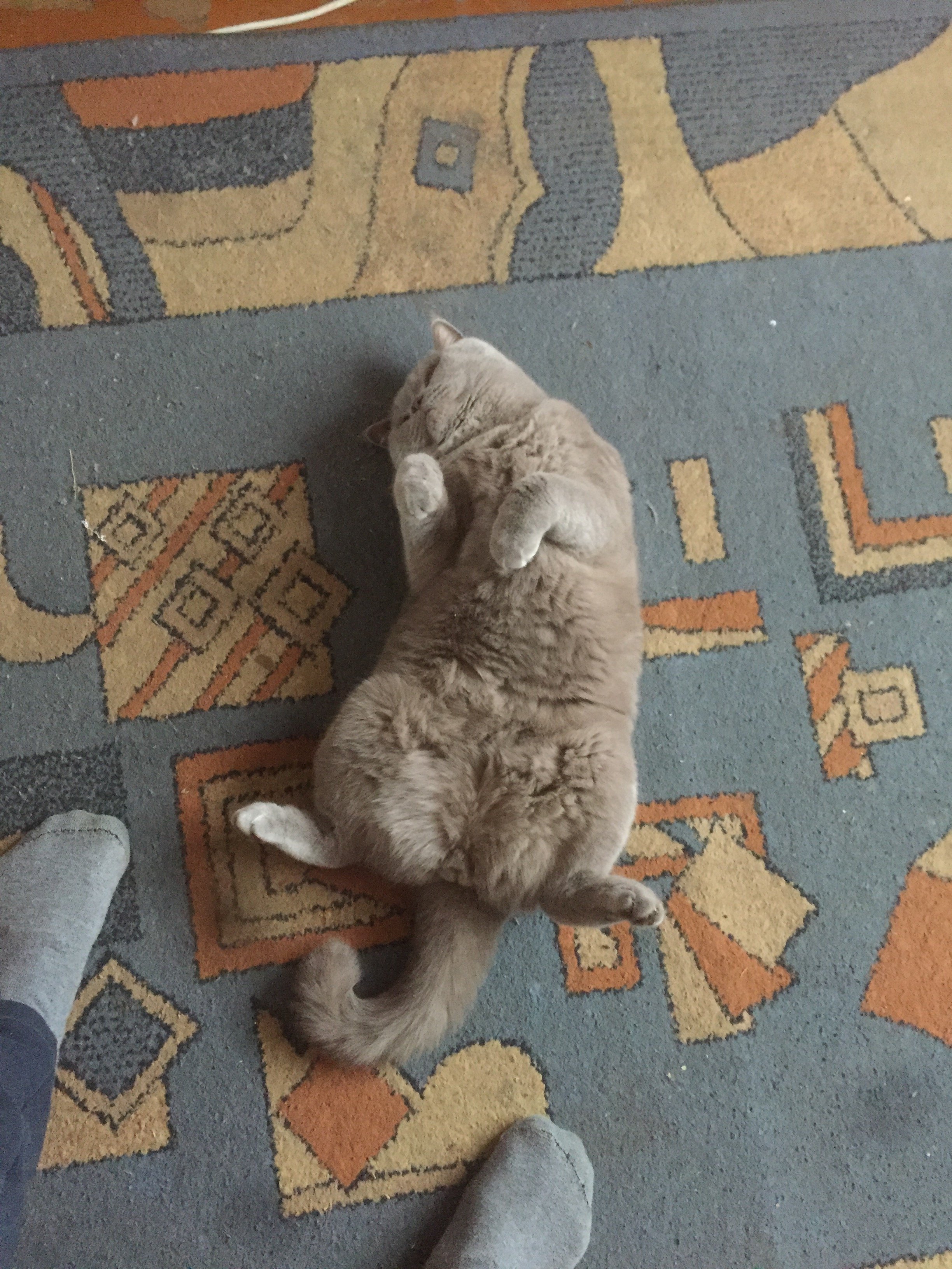 IndiaGenericPower- магазин ПКТ! - Бодибилдинг форум AnabolicShops