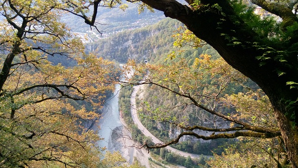 Шарпей team|TSpecPS - Бодибилдинг форум AnabolicShops