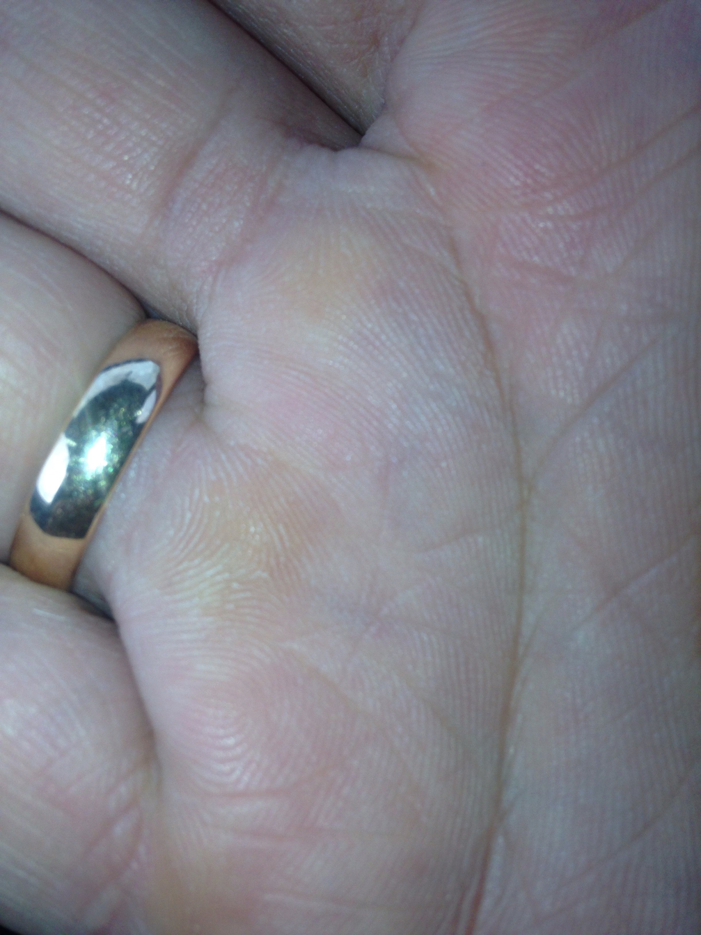 italicafarm.com - Бодибилдинг форум AnabolicShops