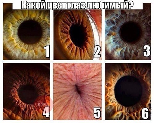 IndiaGenericPower- магазин ПКТ! - Бодибилдинг форум AnabolicShops