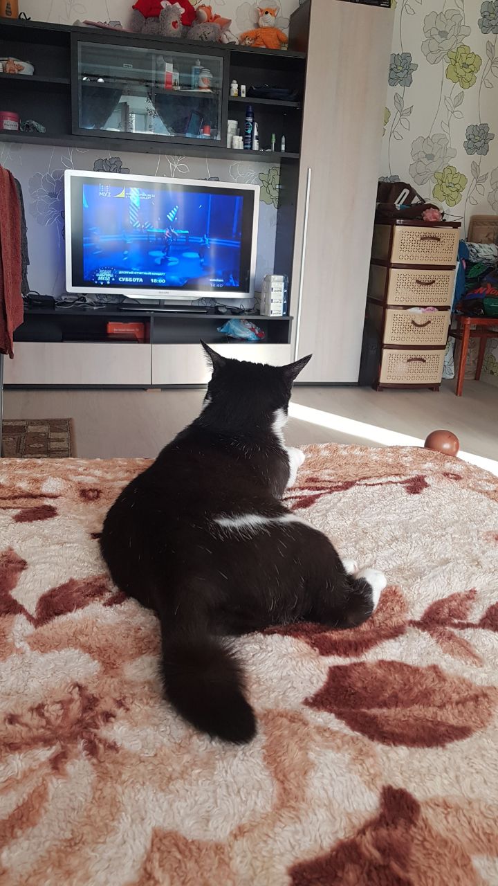 IndiaGenericPower- магазин ПКТ! - Бодибилдинг форум AnabolicShops