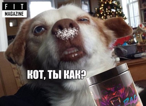 Farma-sklad надежный магазин - Бодибилдинг форум AnabolicShops