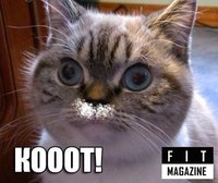 Farma-sklad надежный магазин - Бодибилдинг форум AnabolicShops