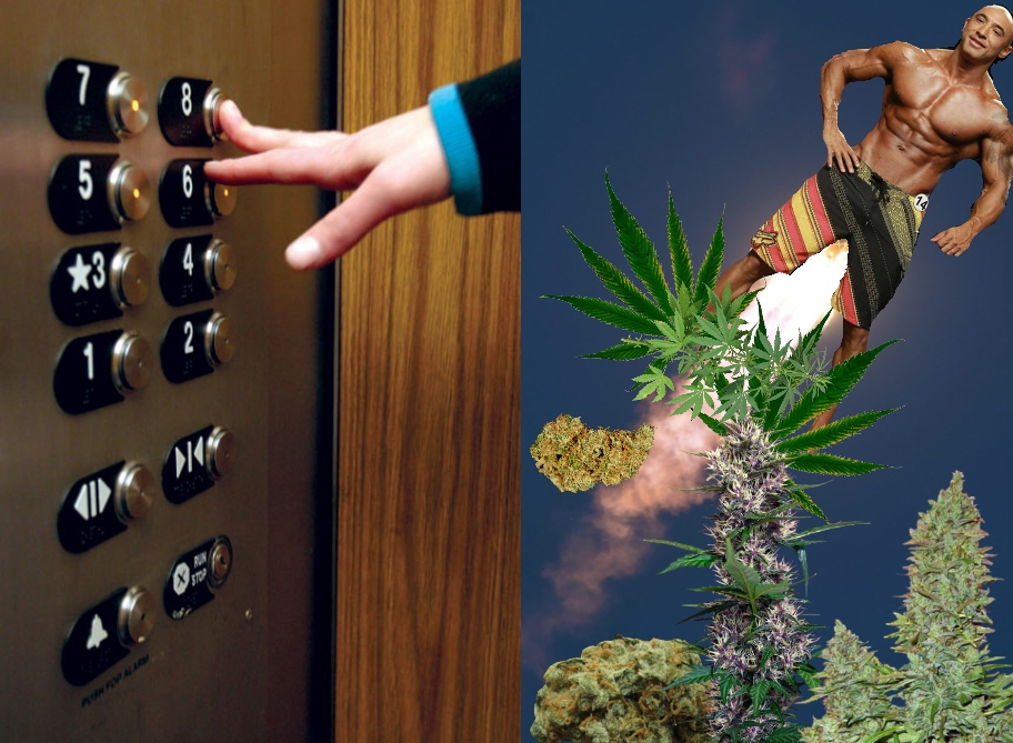 Профессионал IFBB арестован с 86 кг наркотиков. - Бодибилдинг форум AnabolicShops