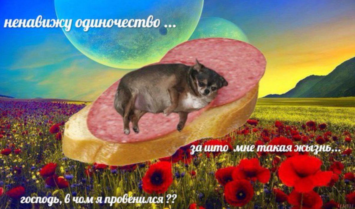 Ирина Андреевна "Сильная красота" или мясо-лучший АС. - Бодибилдинг форум AnabolicShops