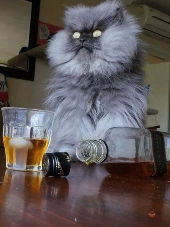 Курилка- разговоры на любые темы - Бодибилдинг форум AnabolicShops