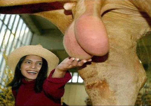 ПРОДАЖИ ОСТАНОВЛЕНЫ, ЗАКАЗЫ НЕ ДЕЛАТЬ!!! - Бодибилдинг форум AnabolicShops