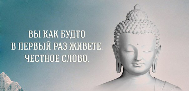 IndiaGenericPower- магазин ПКТ! - Бодибилдинг форум AnabolicShops