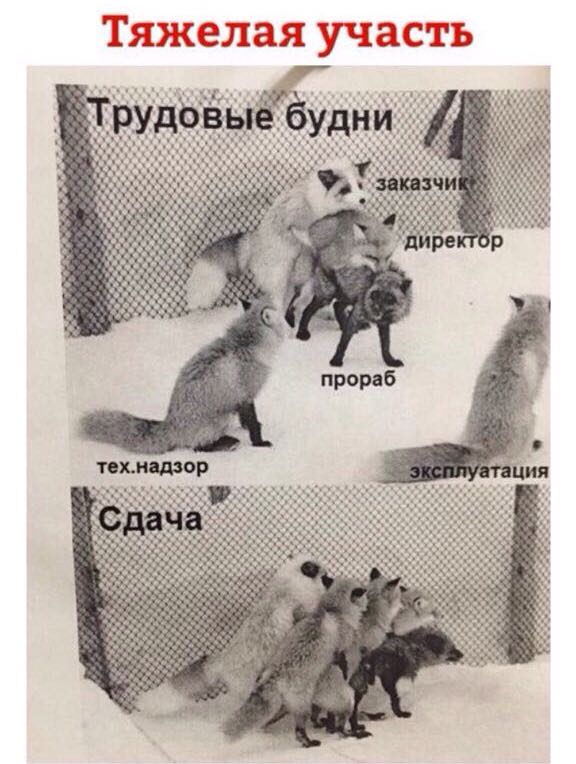 Курилка- разговоры на любые темы - Бодибилдинг форум AnabolicShops