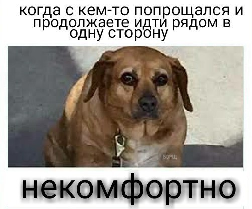 Курилка- разговоры на любые темы - Бодибилдинг форум AnabolicShops