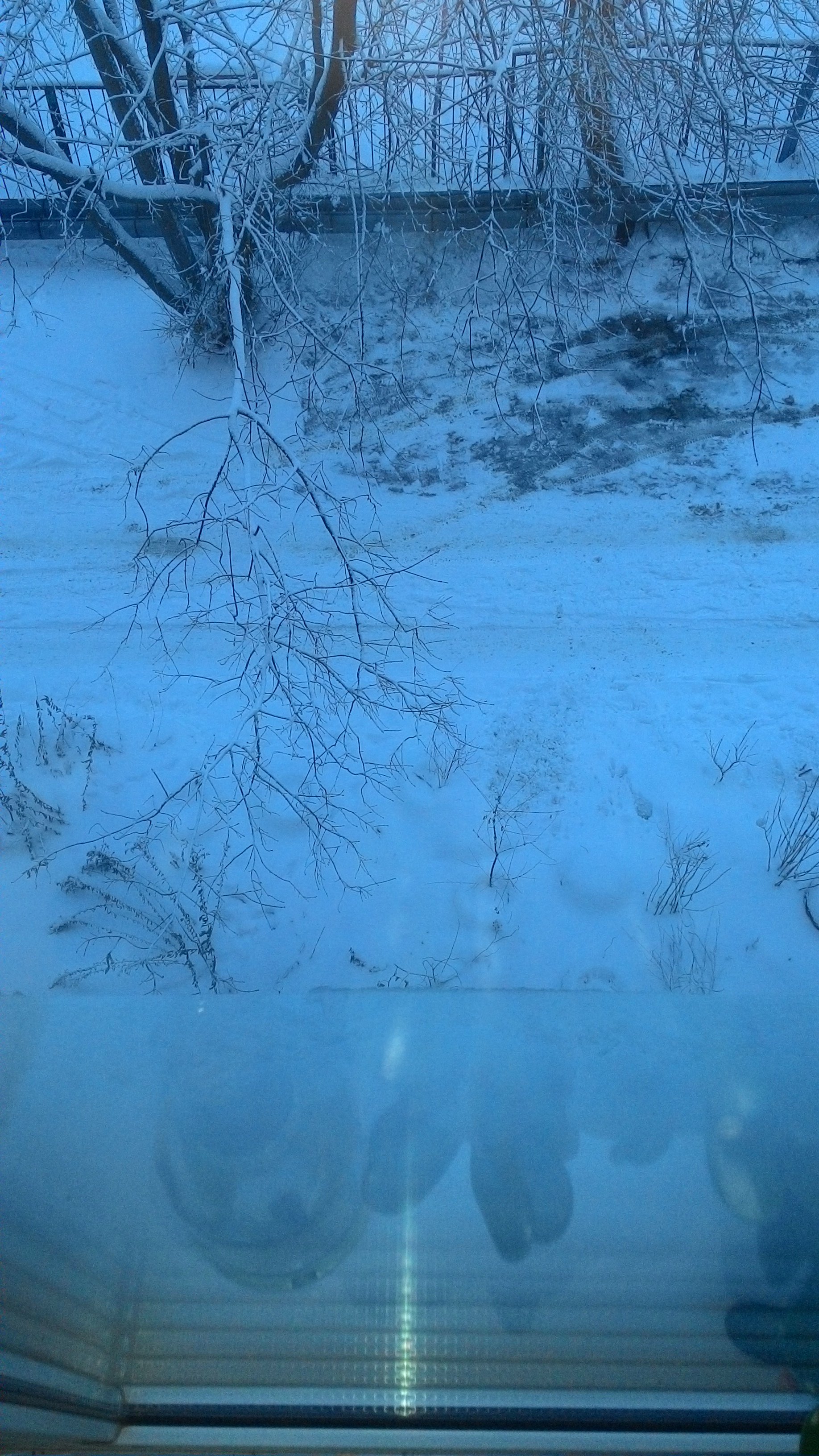 Курилка- разговоры на любые темы - Бодибилдинг форум AnabolicShops