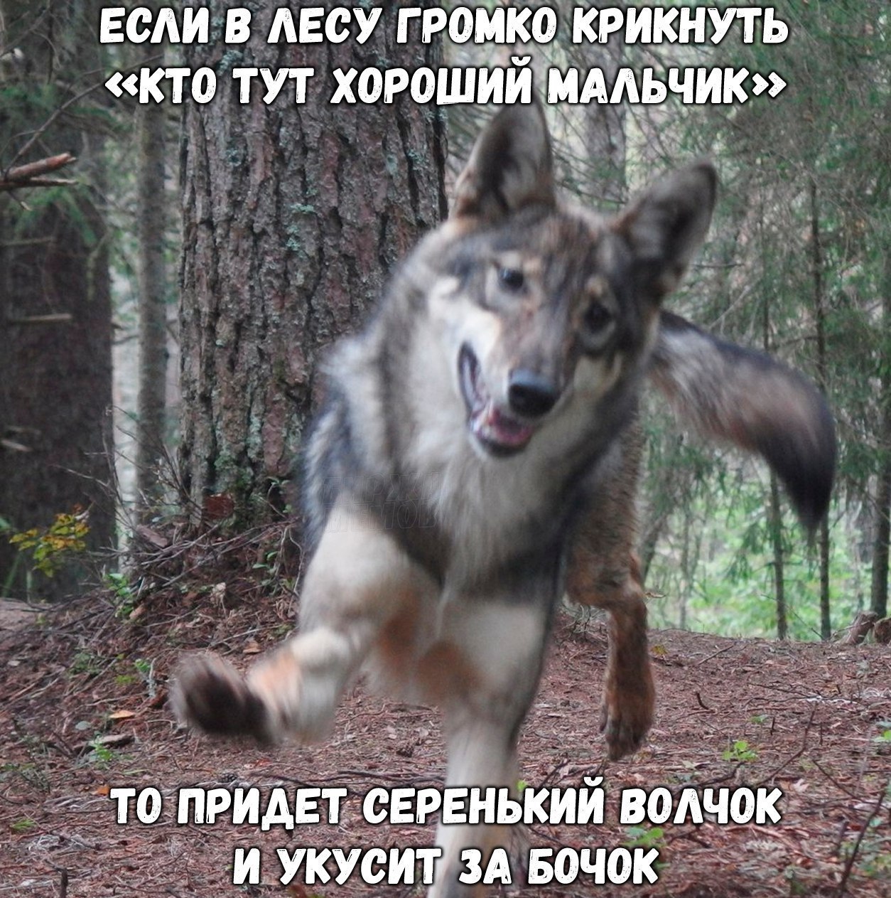 Курилка- разговоры на любые темы - Бодибилдинг форум AnabolicShops