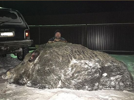 Sterostore.xyz -  Магазин низких цен. - Бодибилдинг форум AnabolicShops