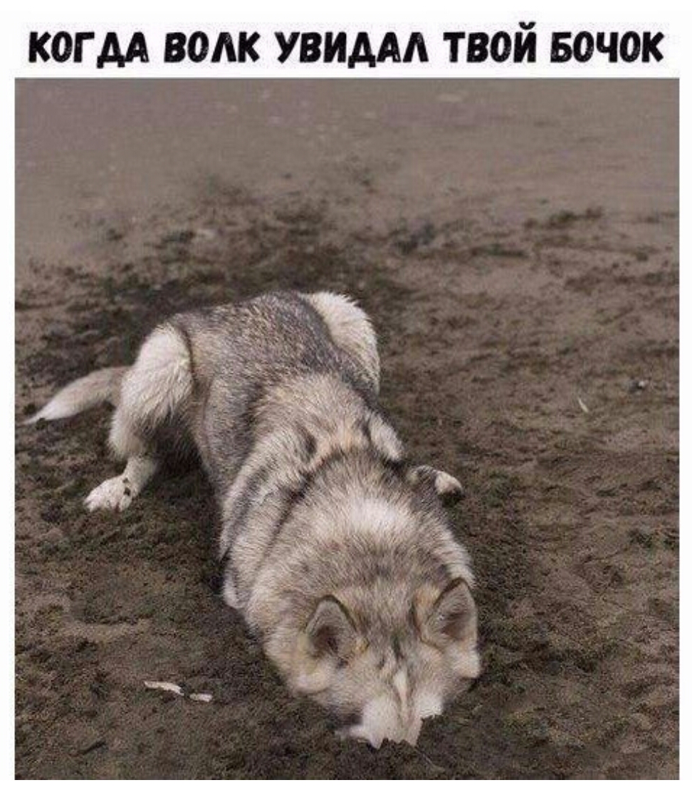 Курилка- разговоры на любые темы - Бодибилдинг форум AnabolicShops