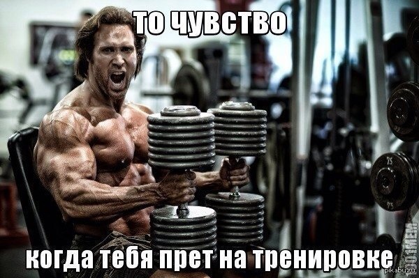 TeslaShop.biz - Бодибилдинг форум AnabolicShops