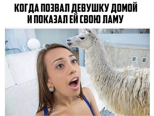 IndiaGenericPower- магазин ПКТ! - Бодибилдинг форум AnabolicShops