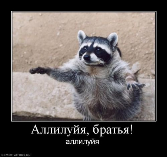 МОЙ ДЕНЬ.....! - Бодибилдинг форум AnabolicShops