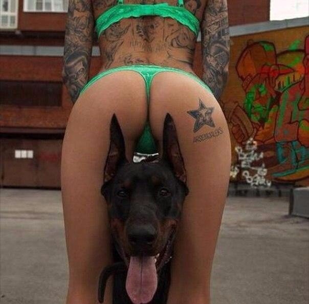 Sterostore.xyz -  Магазин низких цен. - Бодибилдинг форум AnabolicShops