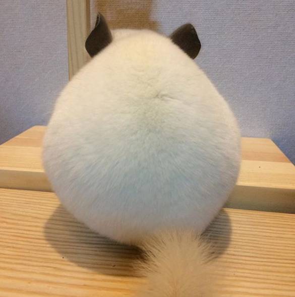 Клан МСК - Бодибилдинг форум AnabolicShops