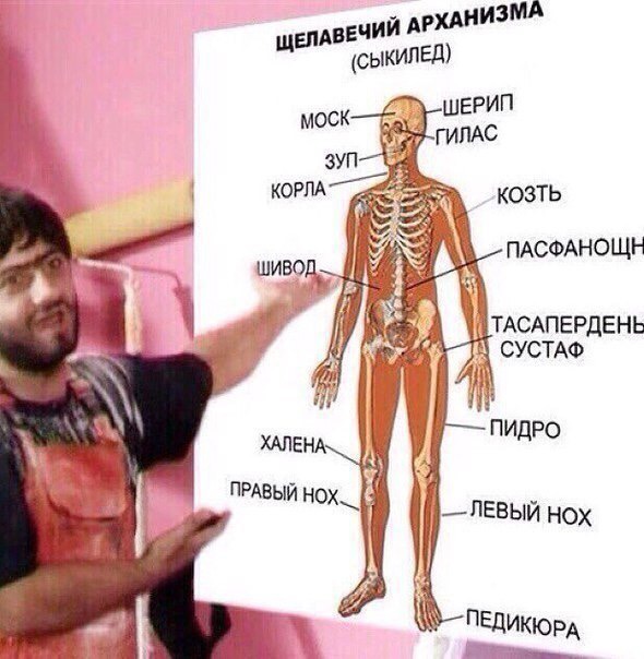 Спортивная медицина - Бодибилдинг форум AnabolicShops