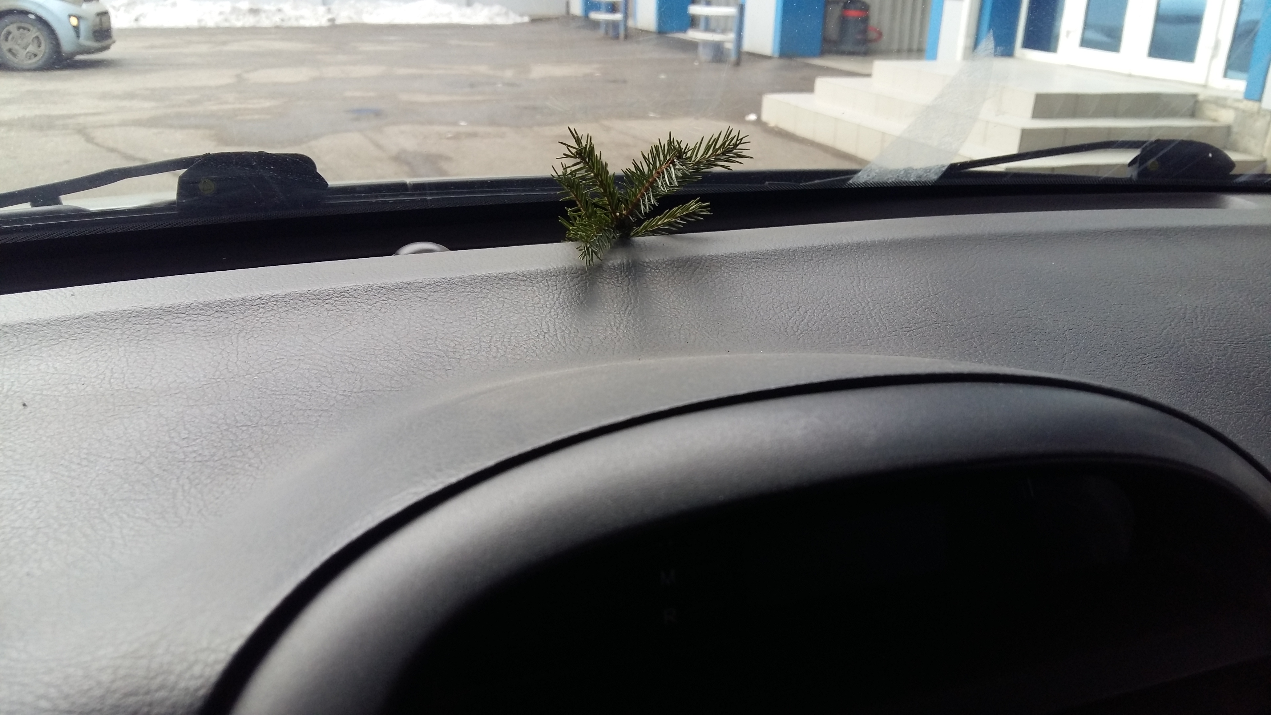 Sterostore.xyz -  Магазин низких цен. - Бодибилдинг форум AnabolicShops