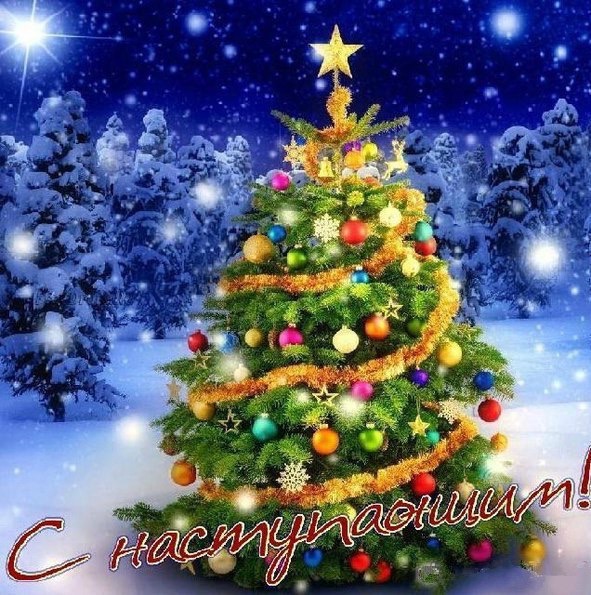 StoreGenerics.ru-Дженерики-все для ПКТ - Бодибилдинг форум AnabolicShops