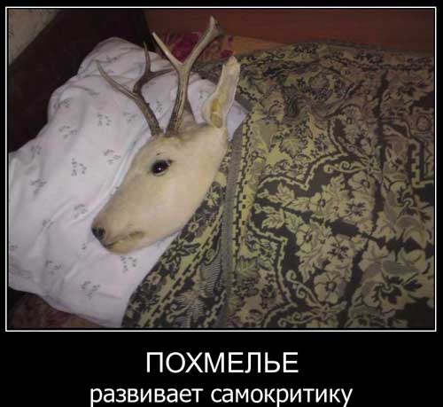 Sterostore.xyz -  Магазин низких цен. - Бодибилдинг форум AnabolicShops