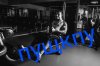 пущкпу - Бодибилдинг форум AnabolicShops